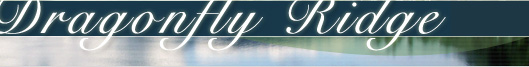 Dragonfly Ridge