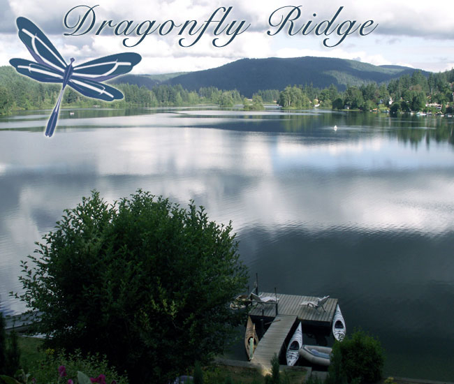 Dragonfly Ridge